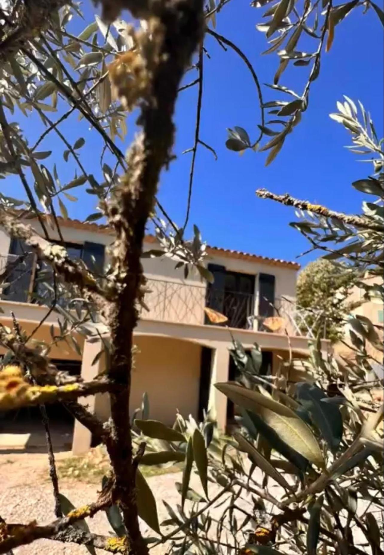 Loft Pied De Coline Au Calme Lejlighed Ginasservis Eksteriør billede